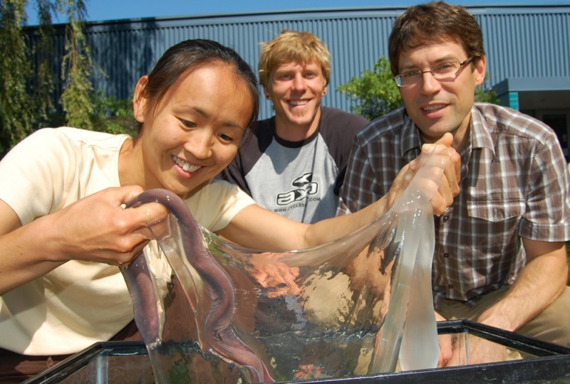 Image: The Fudge Lab/University of Guelph